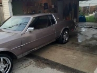 1983 Buick Riviera for sale in Michigan (ID-139541)