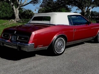 1983 Buick Riviera for sale in Michigan (ID-146193)