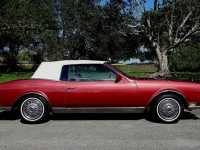 1983 Buick Riviera for sale in Michigan (ID-146193)