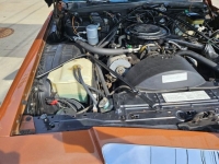 1983 Cadillac Coupe DeVille for sale in Michigan (ID-134176)
