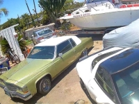 1983 Cadillac Coupe DeVille for sale in Michigan (ID-146446)