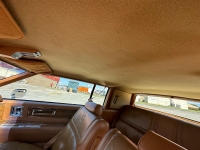 1983 Cadillac Eldorado for sale in Addison, Illinois (ID-120633)
