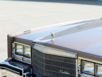 1983 Cadillac Eldorado for sale in Michigan (ID-130045)