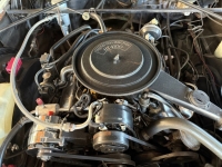 1983 Cadillac Eldorado for sale (ID-155911)