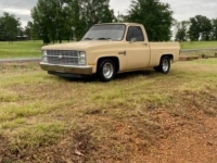1983 Chevrolet 1500 for sale in Michigan (ID-123307)
