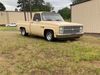 1983 Chevrolet 1500 for sale in Michigan (ID-123307)