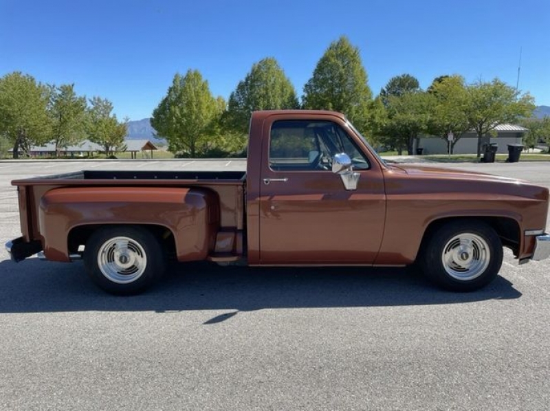 1983 Chevrolet C10 for sale in Michigan (ID-97748)