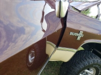 1983 Chevrolet C10 for sale in Michigan (ID-116594)