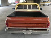 1983 Chevrolet C10 for sale in Michigan (ID-130174)