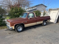 1983 Chevrolet C10 for sale in Michigan (ID-161306)