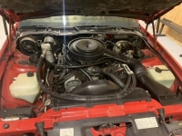 1983 Chevrolet Camaro for sale in Michigan (ID-107897)