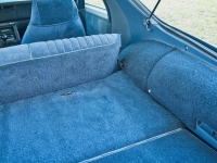 1983 Chevrolet Camaro for sale (ID-163811)