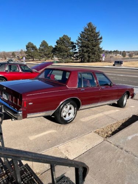 1983 Chevrolet Caprice Classic for sale in Michigan (ID-122937)