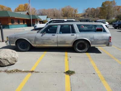 1983 Chevrolet Caprice Classic for sale