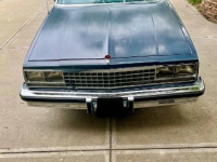 1983 Chevrolet El Camino for sale in Michigan (ID-134539)