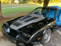 1983 Chevrolet El Camino for sale in Michigan (ID-136268)