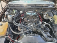 1983 Chevrolet El Camino for sale (ID-164454)