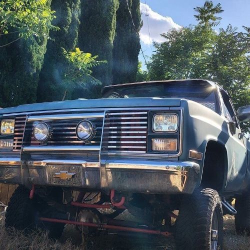 1983 Chevrolet K10 for sale in Michigan (ID-155587)