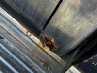 1983 Chevrolet K20 for sale in Michigan (ID-132921)