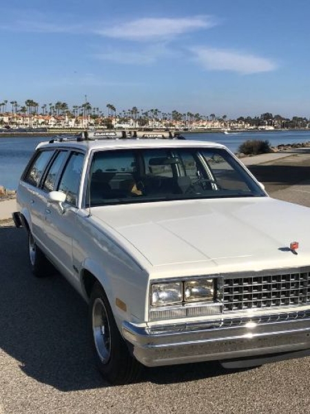 1983 Chevrolet Malibu for sale in Michigan (ID-136348)
