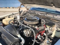 1983 Chevrolet Malibu for sale in Michigan (ID-136348)