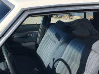 1983 Chevrolet Malibu for sale in Michigan (ID-136348)