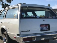 1983 Chevrolet Malibu for sale in Michigan (ID-136348)