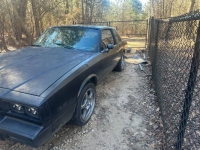 1983 Chevrolet Monte Carlo for sale in Michigan (ID-124846)