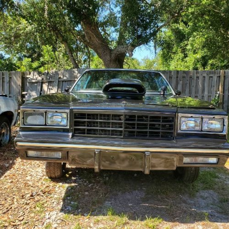 1983 Chevrolet Monte Carlo for sale in Michigan (ID-128557) 1983 Chevrolet Monte Carlo for sale in Michigan (ID-128557)