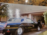 1983 Chevrolet Monte Carlo for sale in Michigan (ID-128557)