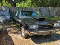 1983 Chevrolet Monte Carlo for sale in Michigan (ID-128557)