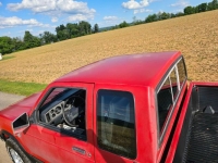 1983 Chevrolet S10 for sale in Michigan (ID-130123)