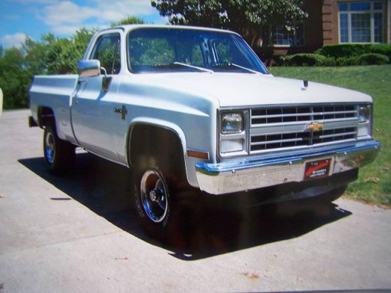 1983 Chevrolet Scottsdale for sale in Michigan (ID-103882)