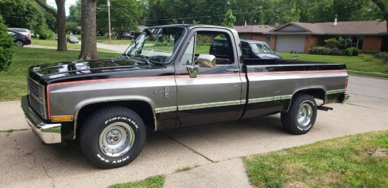 1983 Chevrolet Silverado for sale in Michigan (ID-102141)