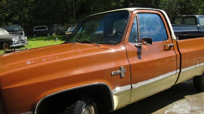 1983 Chevrolet Silverado for sale in Michigan (ID-107174)