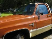 1983 Chevrolet Silverado for sale in Michigan (ID-107174)