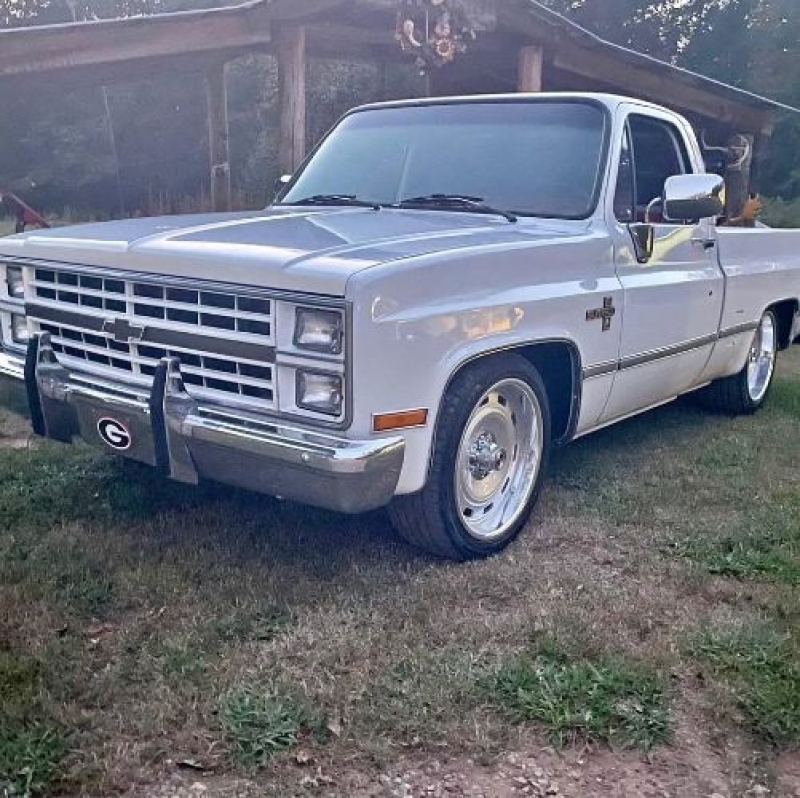 1983 Chevrolet Silverado for sale in Michigan (ID-145950) 1983 Chevrolet Silverado for sale in Michigan (ID-145950)