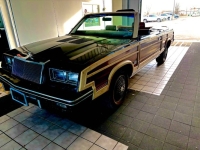1983 Chrysler LeBaron for sale in Michigan (ID-139797)