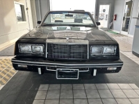 1983 Chrysler LeBaron for sale in Michigan (ID-139797)