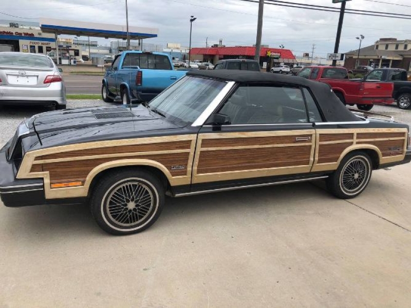 1983 Chrysler LeBaron for sale in Michigan (ID-142467)