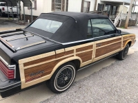 1983 Chrysler LeBaron for sale in Michigan (ID-142467)