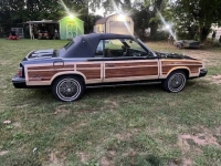 1983 Chrysler LeBaron for sale in Michigan (ID-142467)
