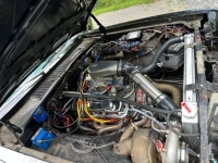 1983 Dodge Diplomat for sale in Michigan (ID-136761)