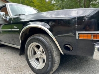 1983 Dodge Diplomat for sale in Michigan (ID-136761)