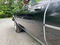 1983 Dodge Diplomat for sale in Michigan (ID-136761)