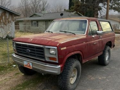 1983 Ford Bronco for sale