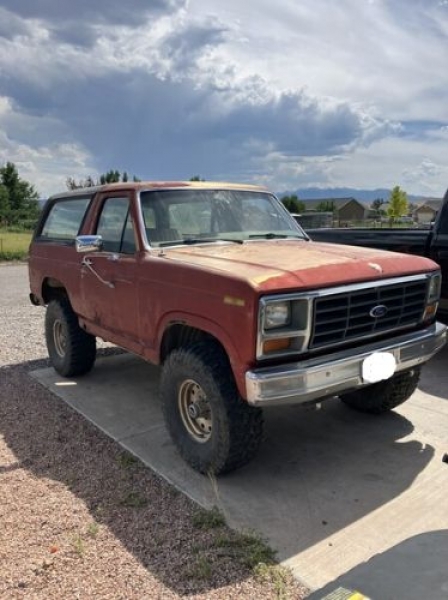 1983 Ford Bronco for sale in Michigan (ID-118479)
