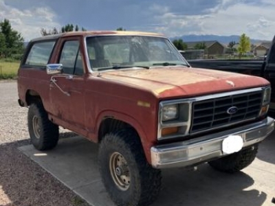 1983 Ford Bronco for sale