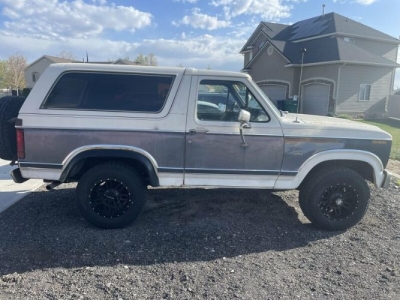 1983 Ford Bronco for sale