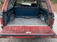 1983 Ford Bronco for sale in Michigan (ID-139006)